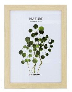 Ramka 21x29,7cm drewniana D621 (15x9mm)