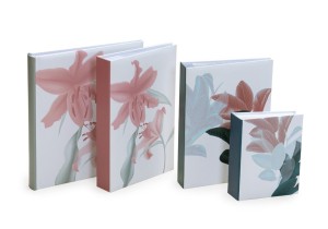 Album 13x18/100 9106 BEAUTIFUL