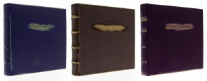 Zestaw albumów w etui 10x15/200 x3 DECORset211